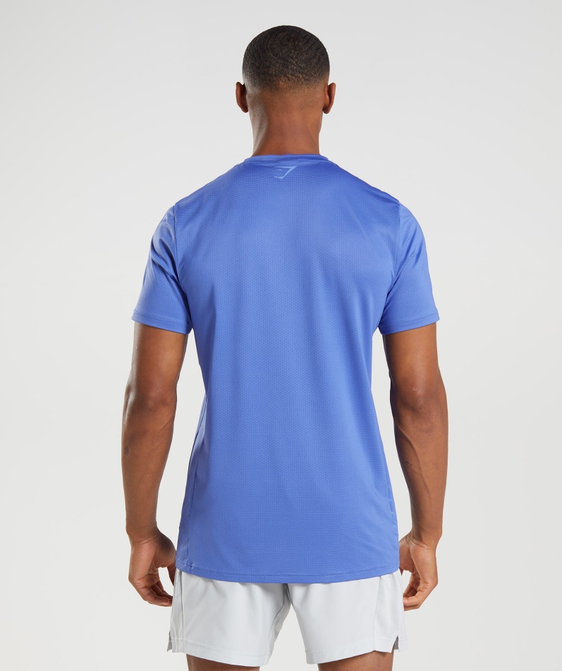 Gymshark Sport Stripe T-skjorte Domstol Blå