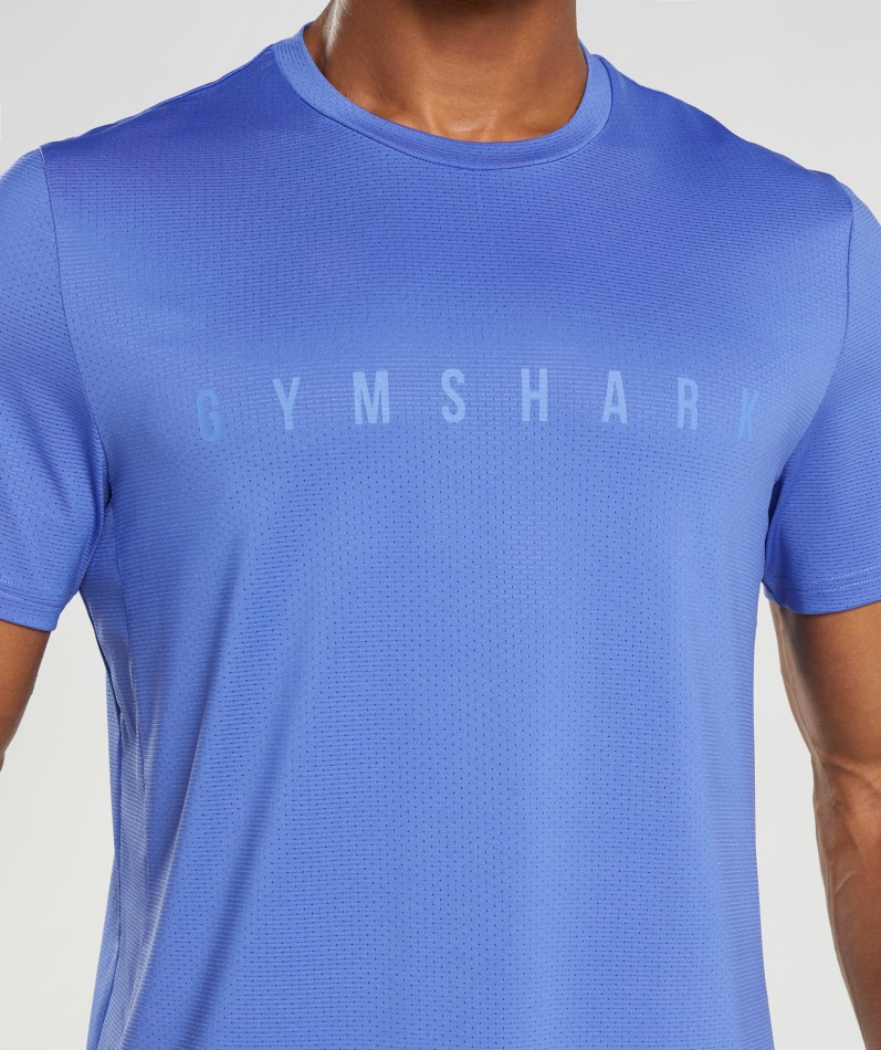 Gymshark Sport Stripe T-skjorte Domstol Blå