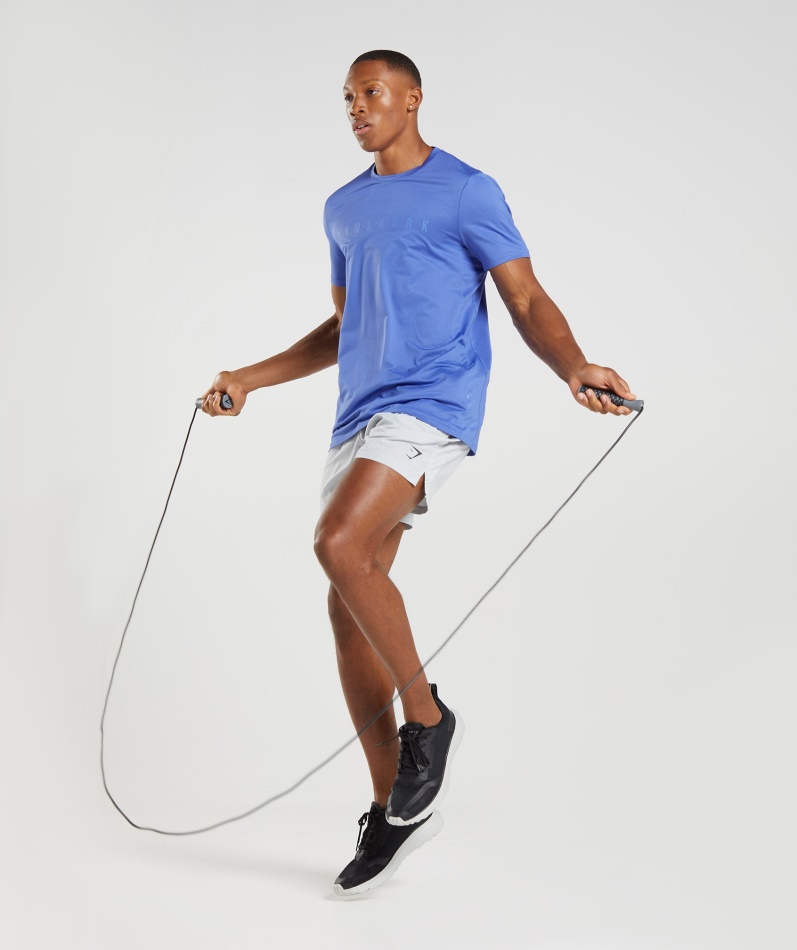 Gymshark Sport Stripe T-skjorte Domstol Blå