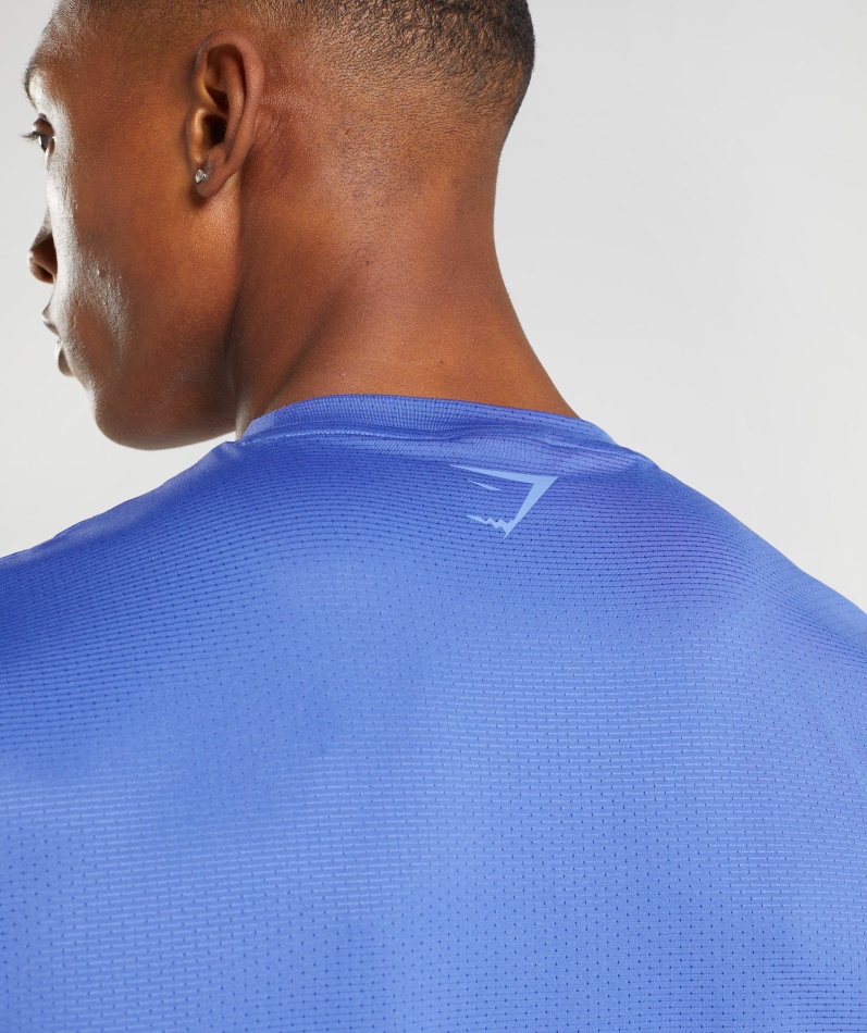 Gymshark Sport Stripe T-skjorte Domstol Blå
