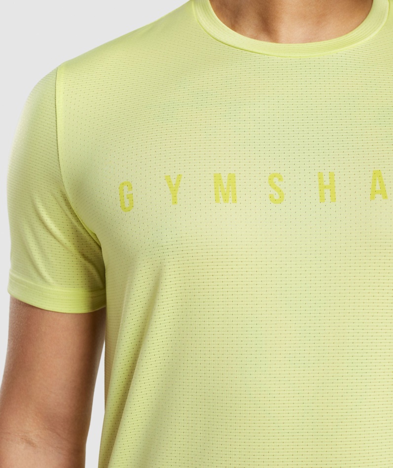 Gymshark Sport Stripe T-skjorte Firefly Green