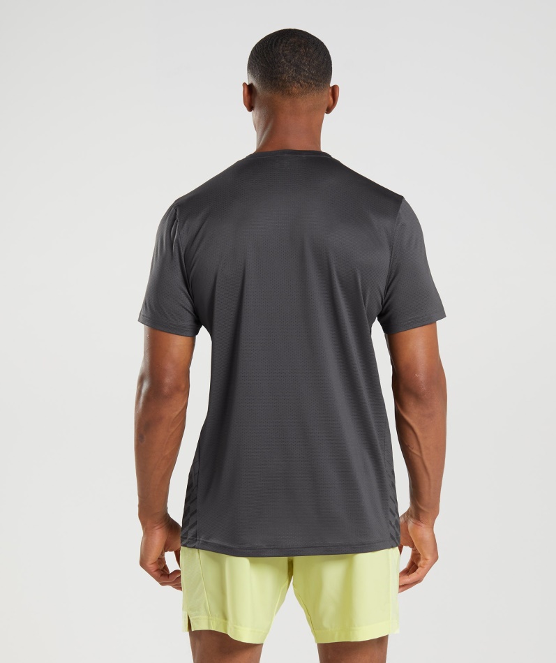 Gymshark Sport Stripe T-skjorte Onyx Grå