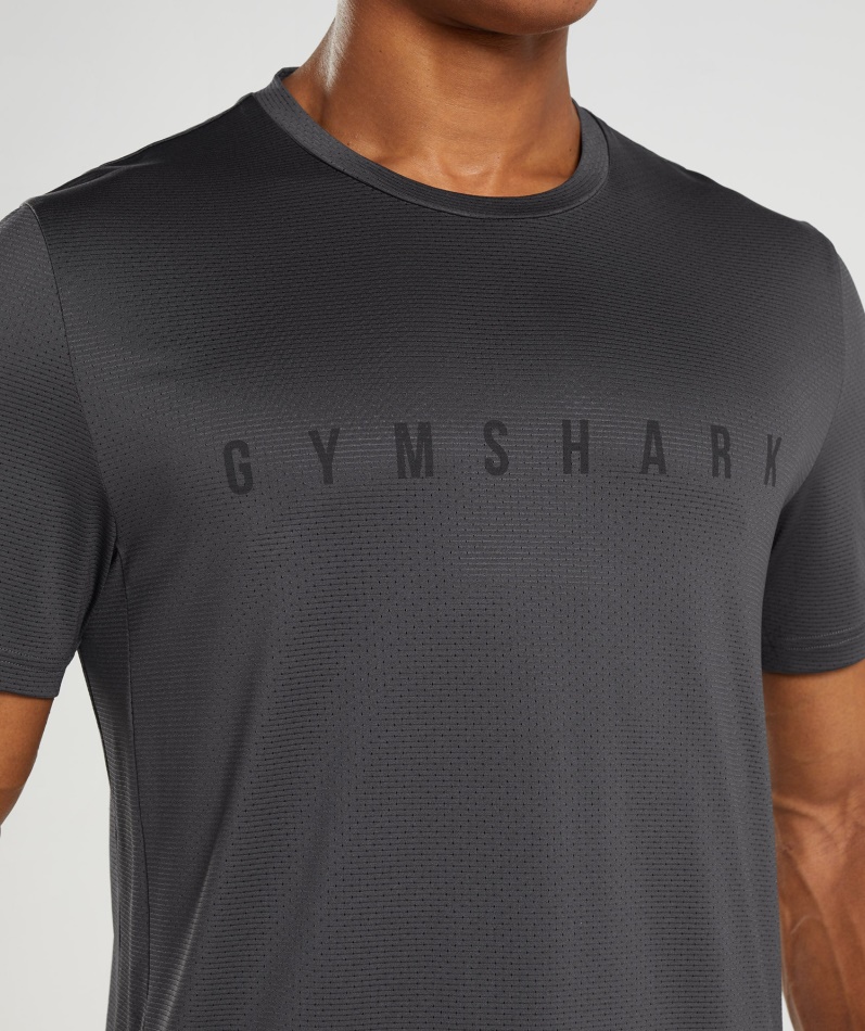 Gymshark Sport Stripe T-skjorte Onyx Grå