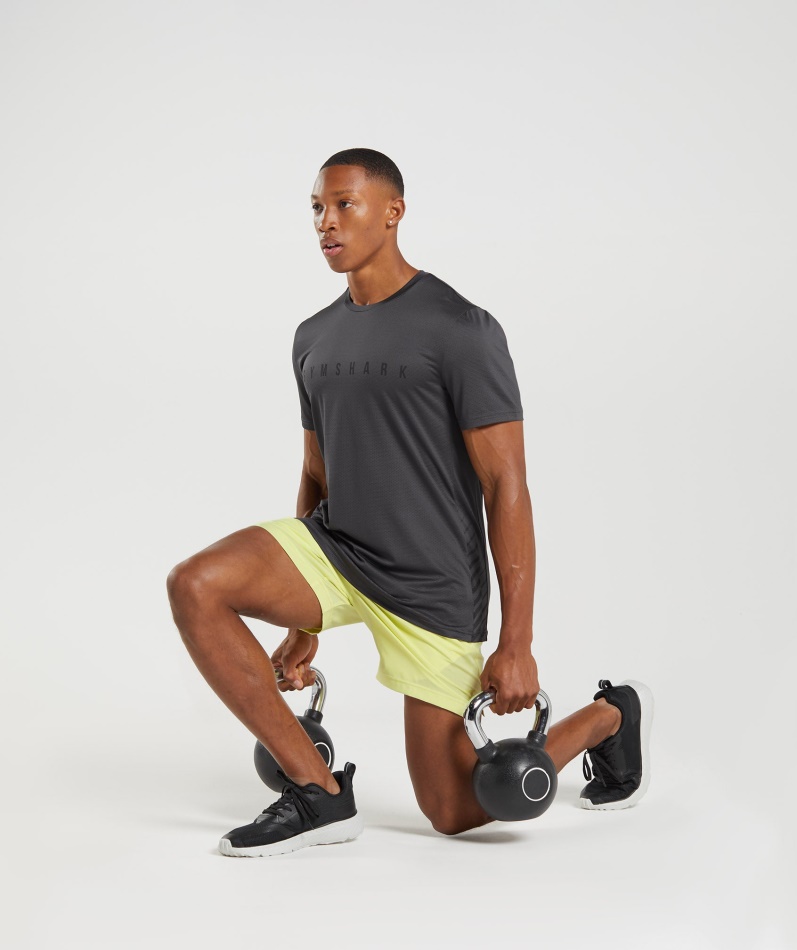 Gymshark Sport Stripe T-skjorte Onyx Grå