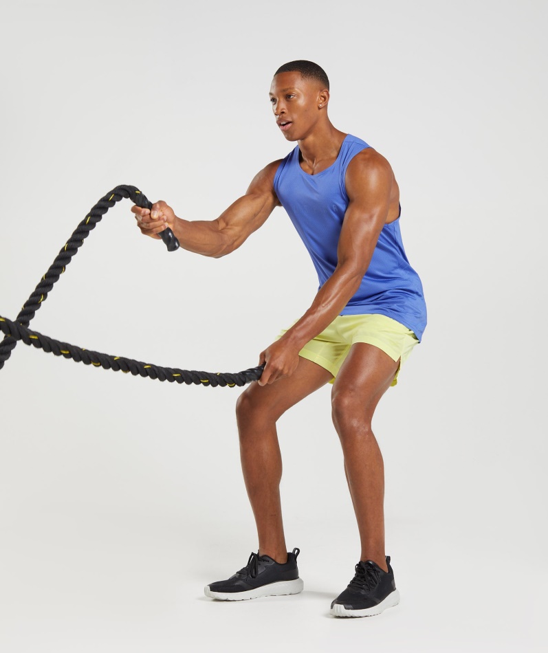 Gymshark Sport Stripe Tankbane Blå