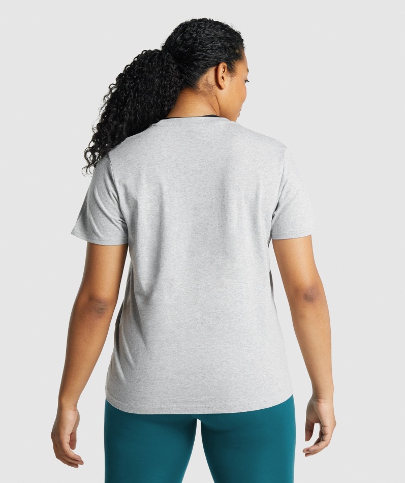 Gymshark Trening Basic T-skjorte Lys Grå Mergel