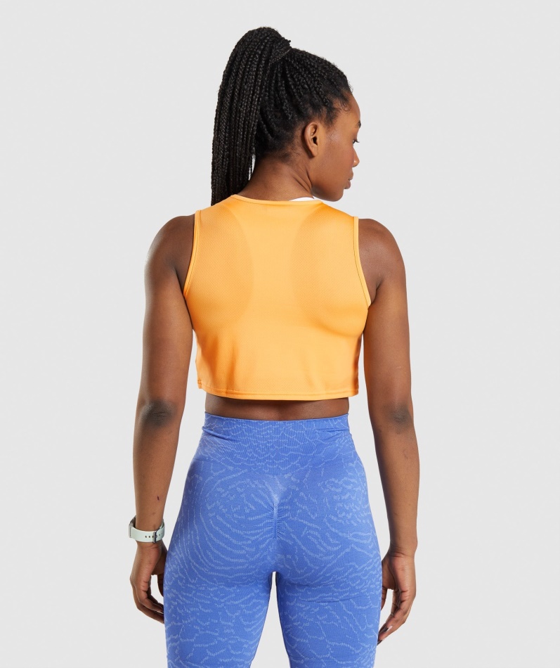 Gymhai Trening Crop Tank Aprikos Oransje