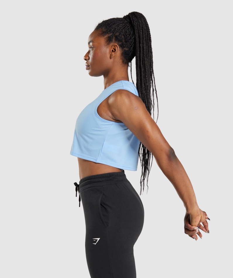 Gymshark Trening Avling Tank Månestein Blå