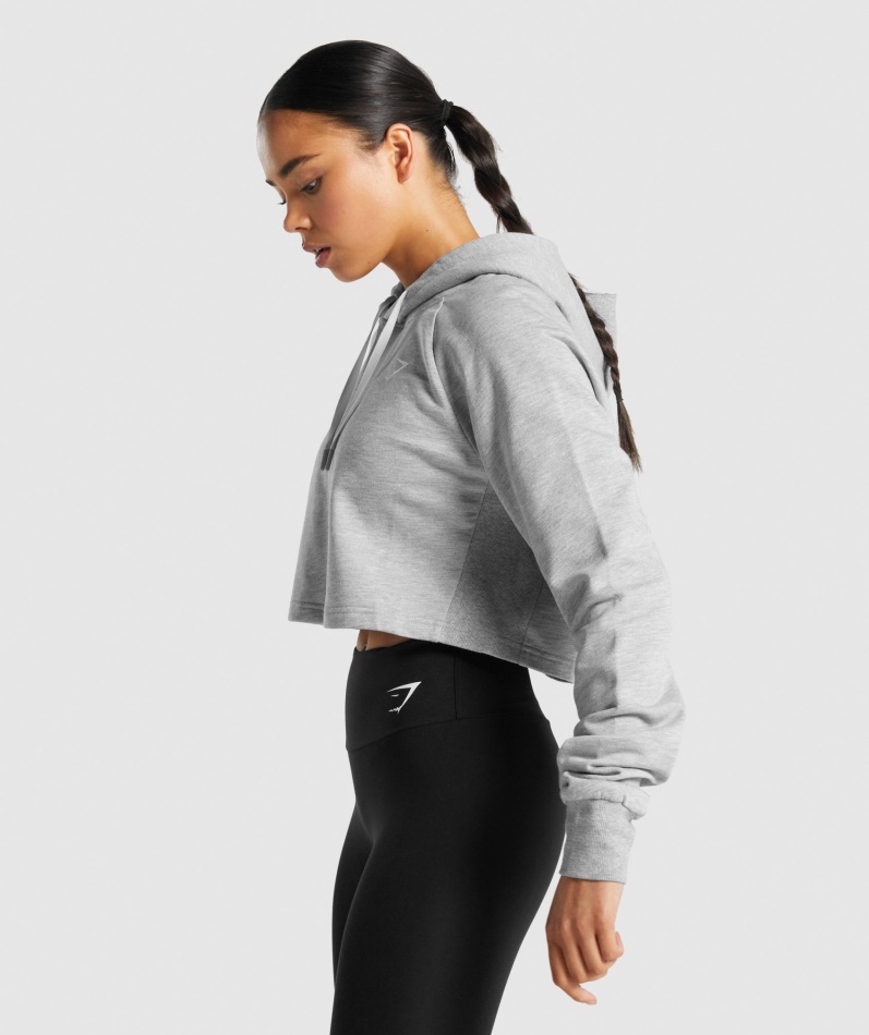 Gymshark Trening Cropped Hettegenser Lys Grå Mergel