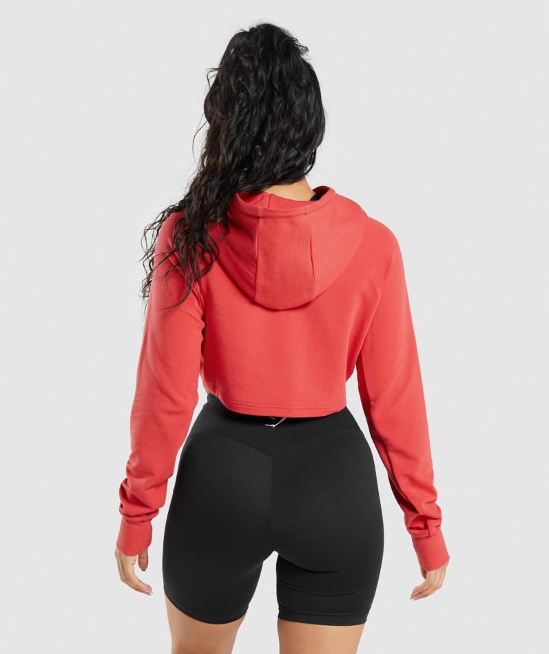 Gymshark Trening Cropped Hettegenser Rubinrød