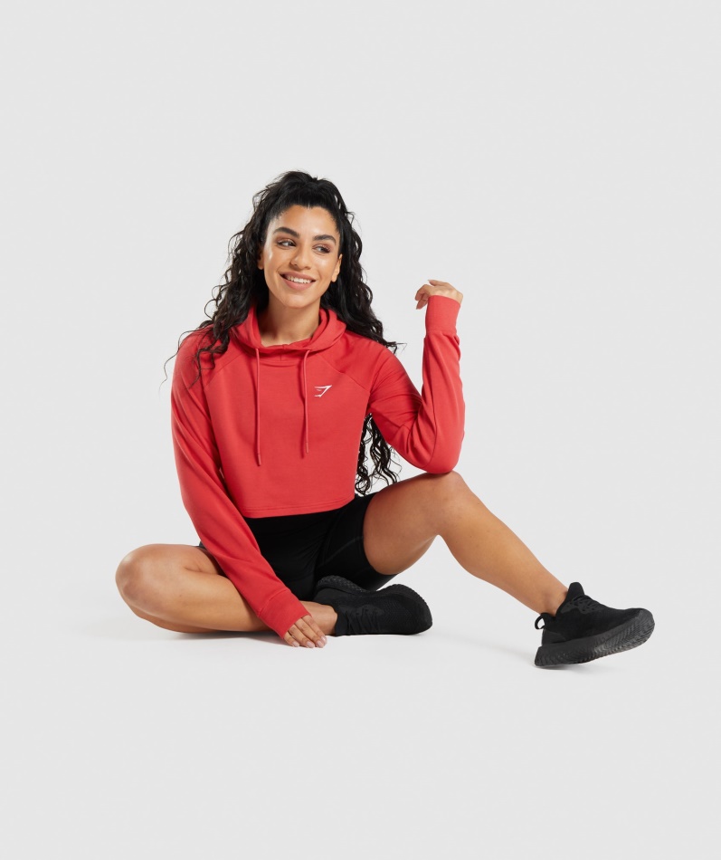 Gymshark Trening Cropped Hettegenser Rubinrød