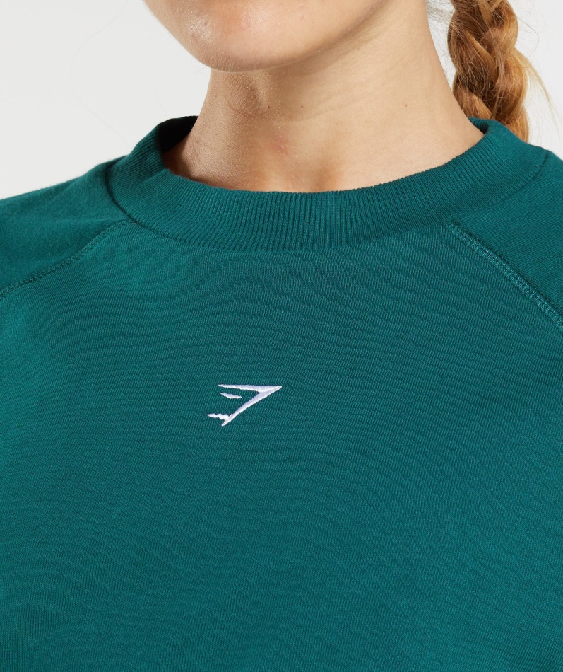 Gymshark Trening Beskåret Genser Vinterblått