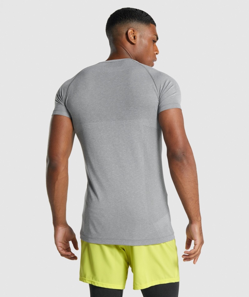 Gymshark Vital Light Sømløs T-skjorte Charcoal Merg