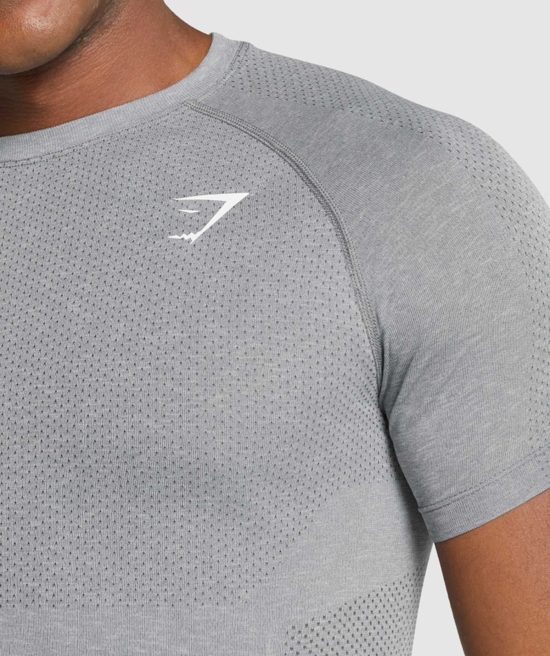 Gymshark Vital Light Sømløs T-skjorte Charcoal Merg