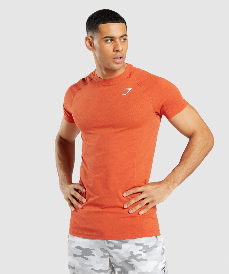 Gymshark Vital Light Sømløs T-skjorte Papaya Orange Mergel