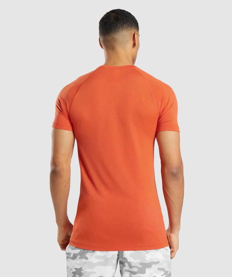 Gymshark Vital Light Sømløs T-skjorte Papaya Orange Mergel