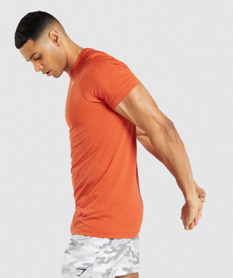 Gymshark Vital Light Sømløs T-skjorte Papaya Orange Mergel