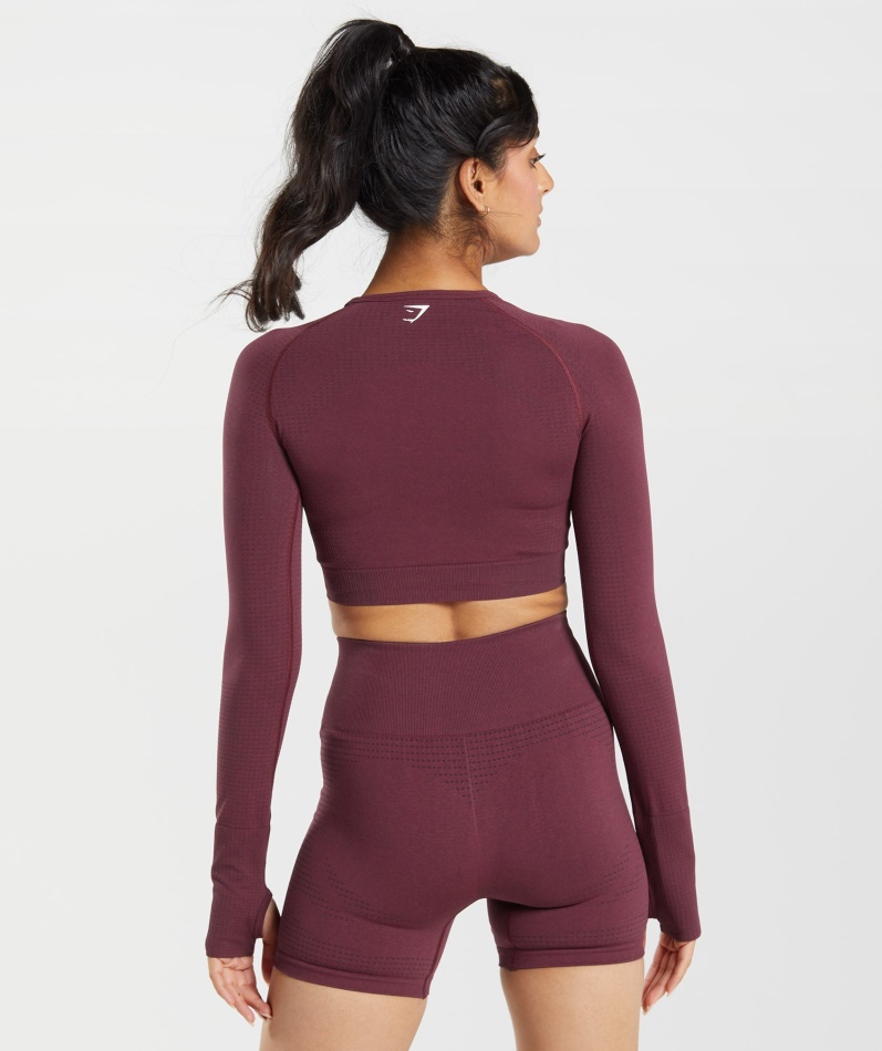 Gymshark Vital Sømløs 2.0 Crop Top Bakt Rødbrun Mergel