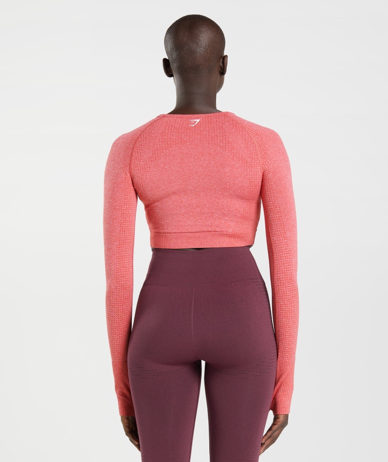 Gymshark Vital Sømløs 2.0 Crop Top Chili Rød Mergel