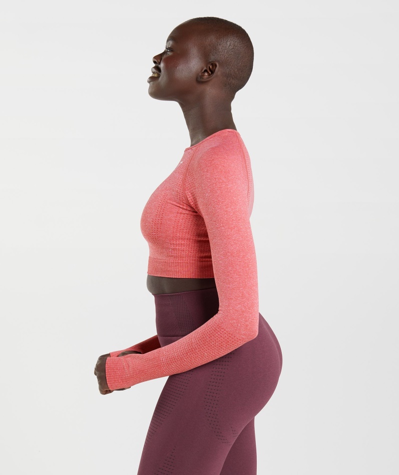 Gymshark Vital Sømløs 2.0 Crop Top Chili Rød Mergel