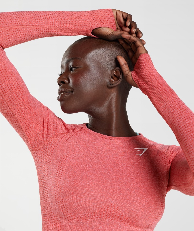 Gymshark Vital Sømløs 2.0 Crop Top Chili Rød Mergel