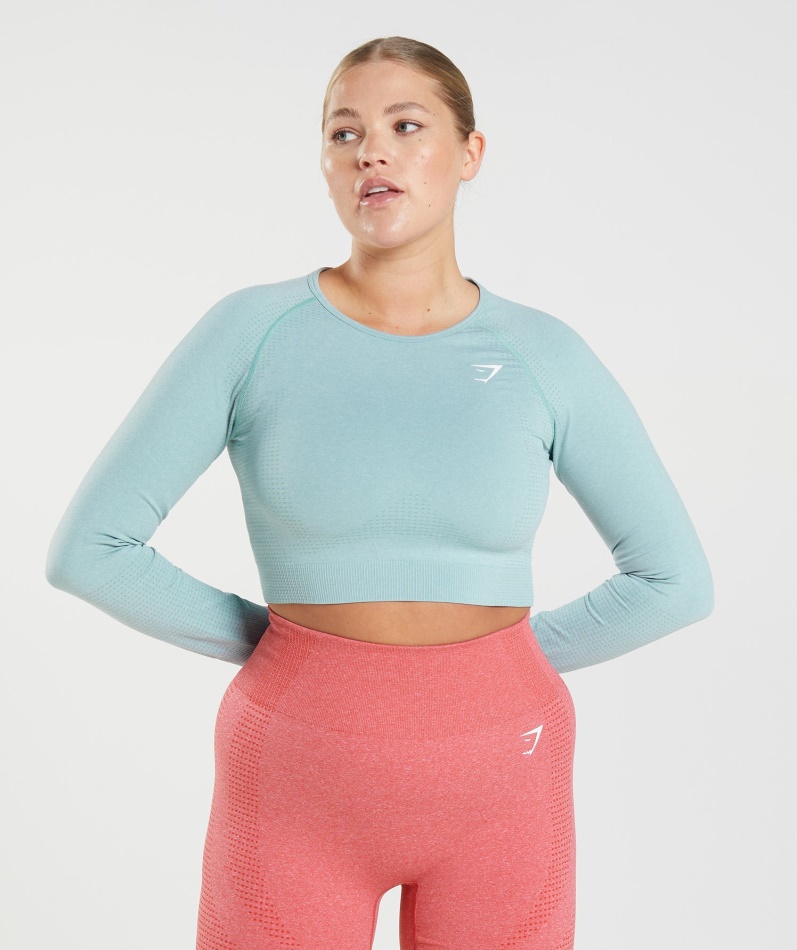 Gymshark Vital Sømløs 2.0 Crop Top Perleblå Marl
