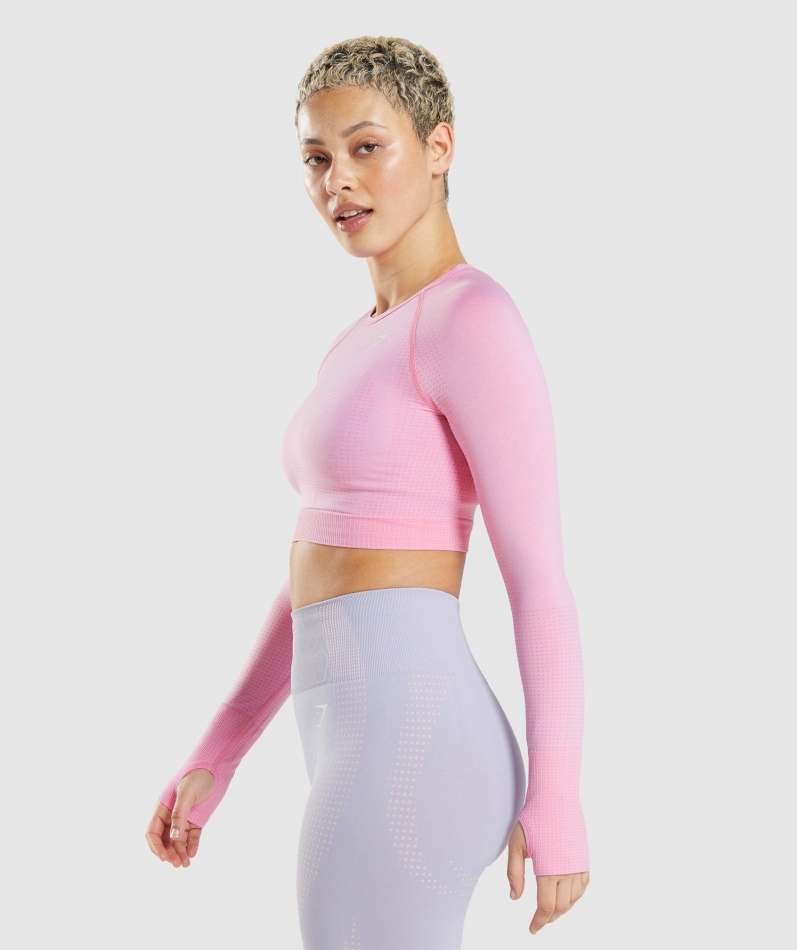 Gymshark Vital Sømløs 2.0 Crop Top Sorbet Rosa Mergel