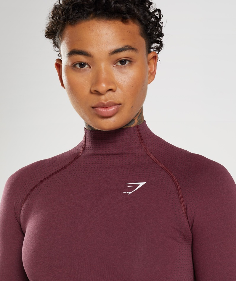 Gymshark Vital Sømløs 2.0 Midi Topp Bakt Rødbrun Mergel Med Høy Hals