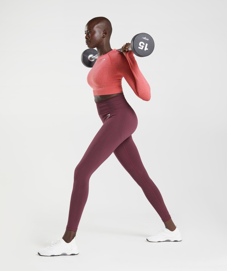 Gymshark Vital Sømløs 2.0 Leggings Bakt Rødbrun Mergel