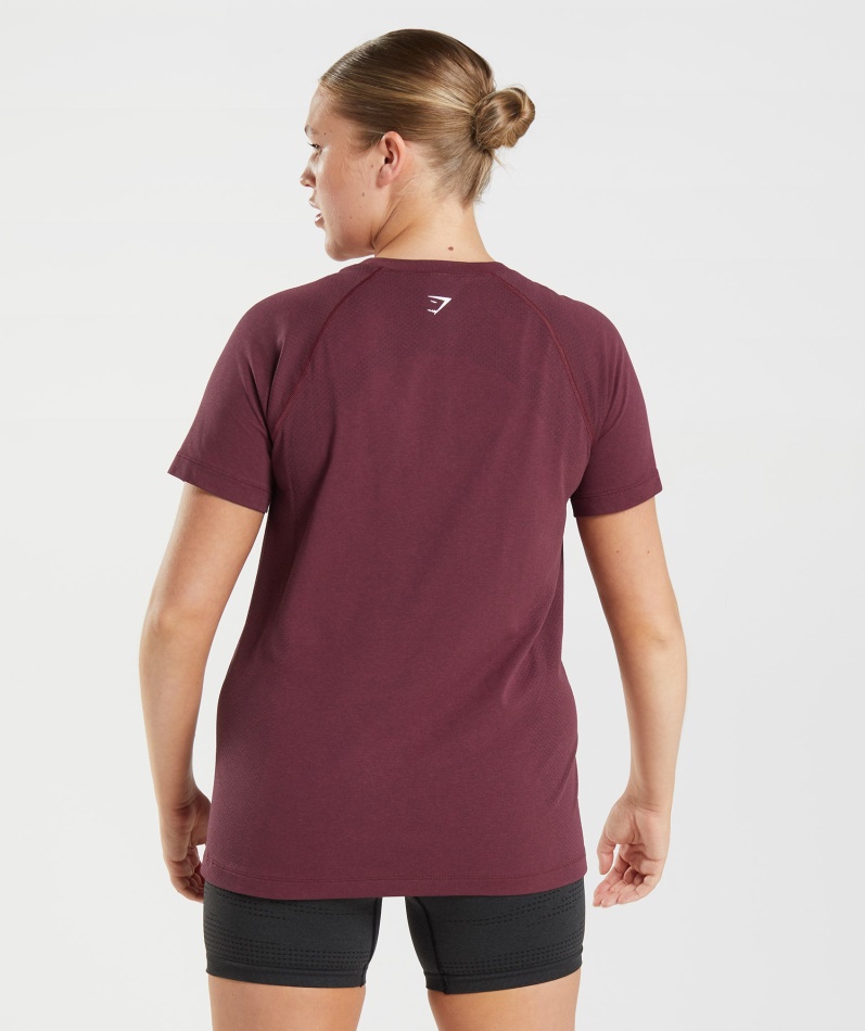 Gymshark Vital Sømløs 2.0 Lett T-skjorte Bakt Rødbrun Mergel