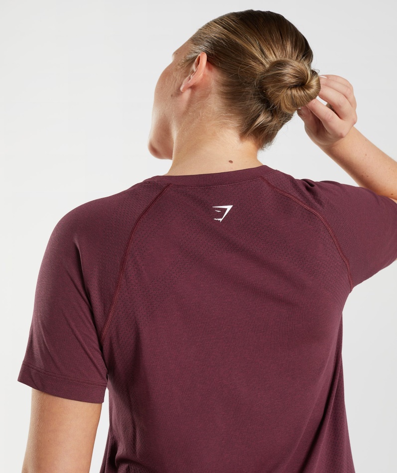 Gymshark Vital Sømløs 2.0 Lett T-skjorte Bakt Rødbrun Mergel