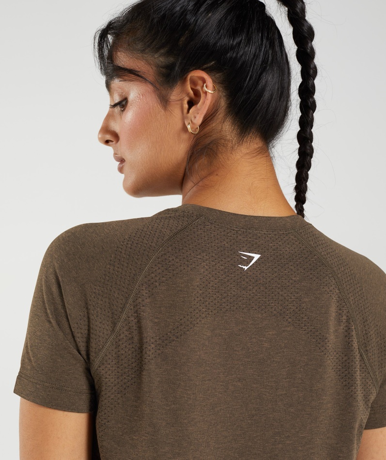 Gymshark Vital Sømløs 2.0 Lett T-skjorte Espresso Marl