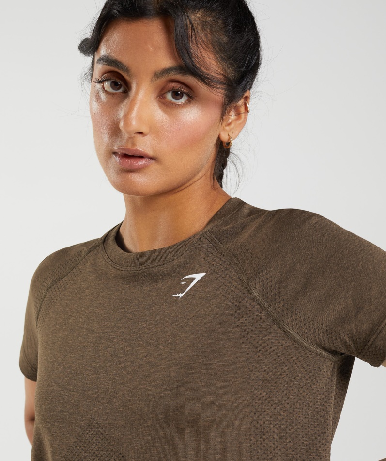 Gymshark Vital Sømløs 2.0 Lett T-skjorte Espresso Marl