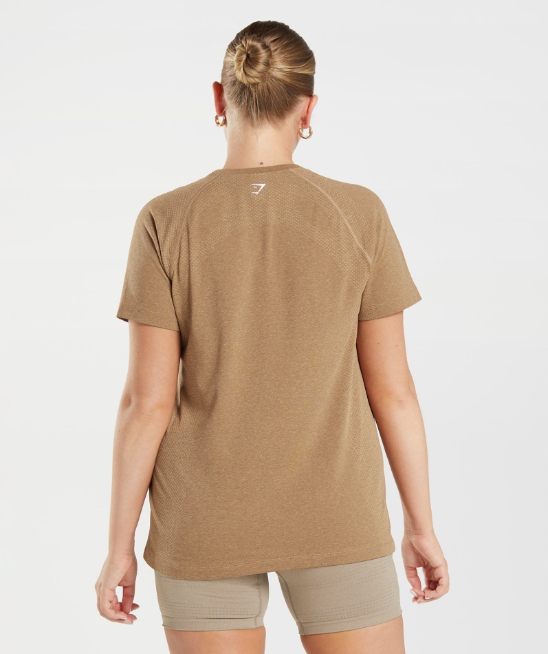 Gymshark Vital Sømløs 2.0 Lett T-skjorte Fawn Marl