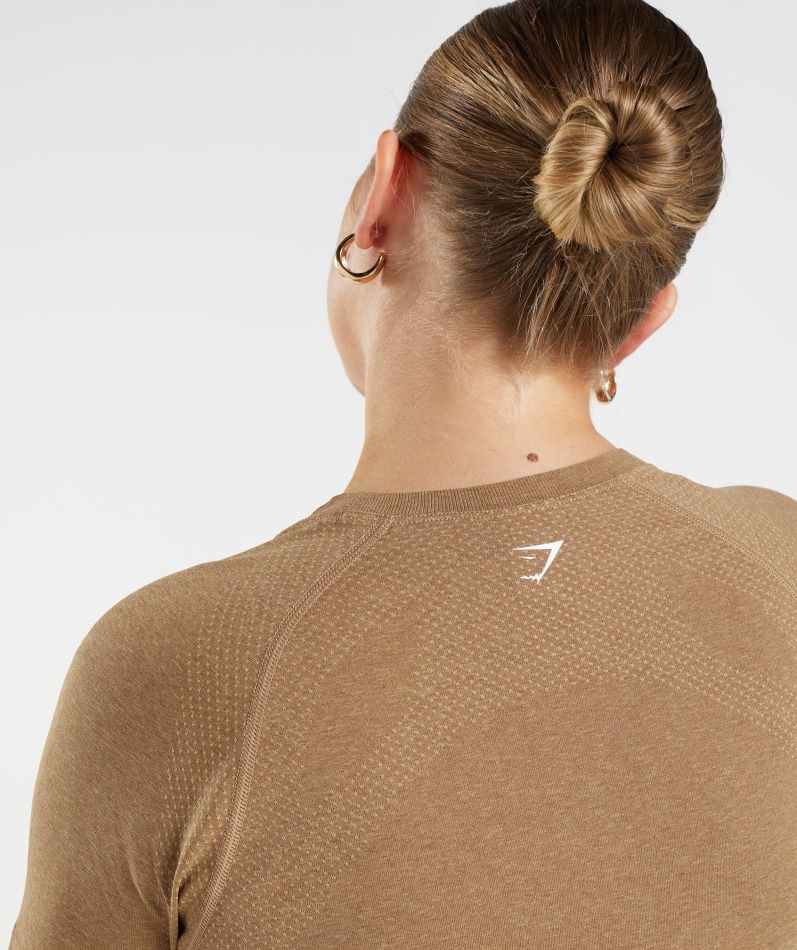 Gymshark Vital Sømløs 2.0 Lett T-skjorte Fawn Marl