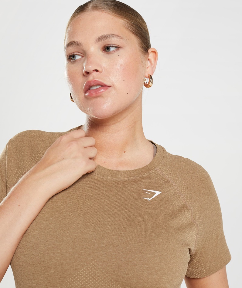 Gymshark Vital Sømløs 2.0 Lett T-skjorte Fawn Marl