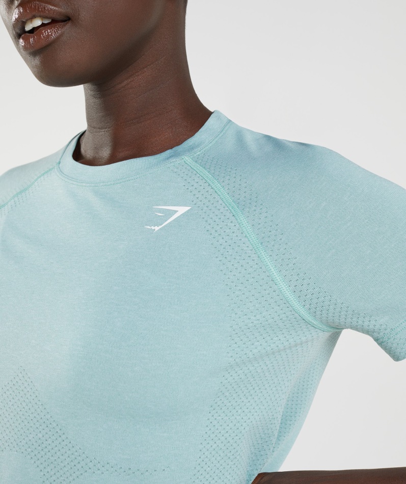 Gymshark Vital Sømløs 2.0 Lys T-skjorte Perleblå Marl