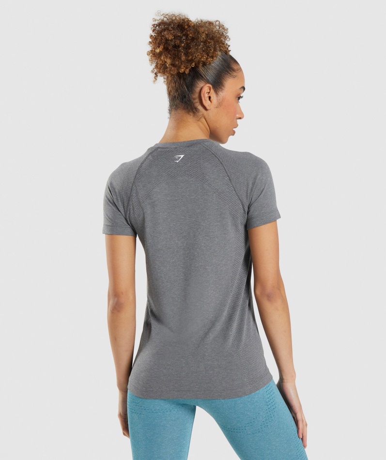 Gymshark Vital Seamless 2.0 Lett T-skjorte Smokey Grey Mergel