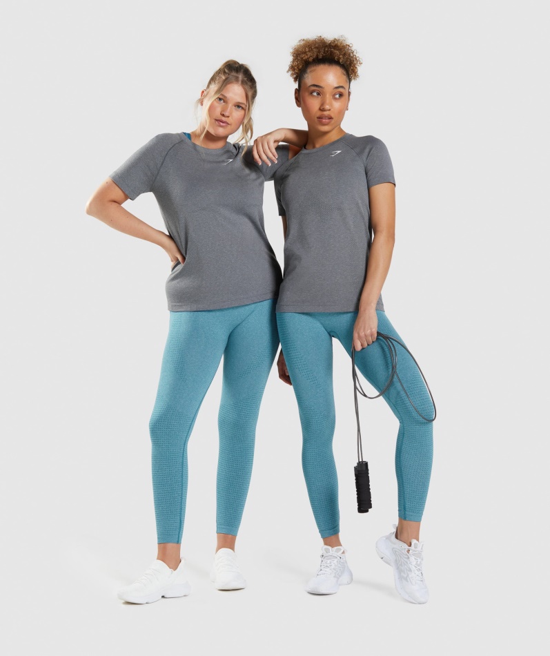 Gymshark Vital Seamless 2.0 Lett T-skjorte Smokey Grey Mergel