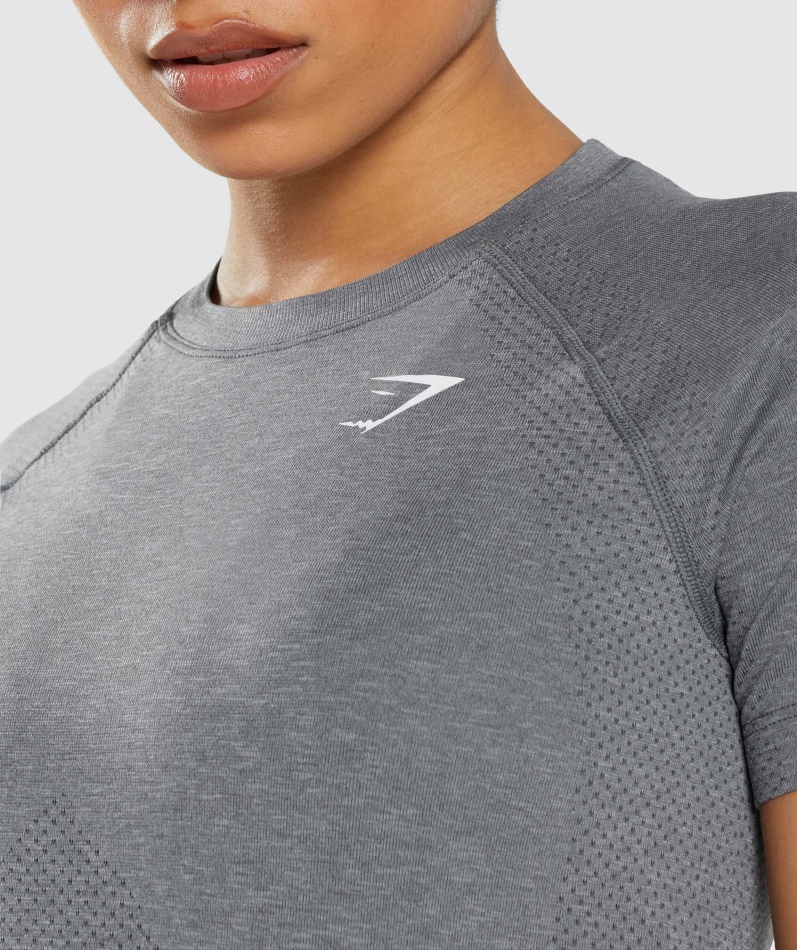 Gymshark Vital Seamless 2.0 Lett T-skjorte Smokey Grey Mergel
