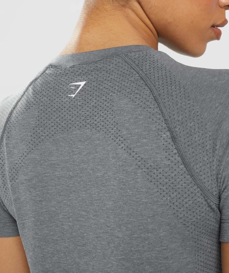 Gymshark Vital Seamless 2.0 Lett T-skjorte Smokey Grey Mergel