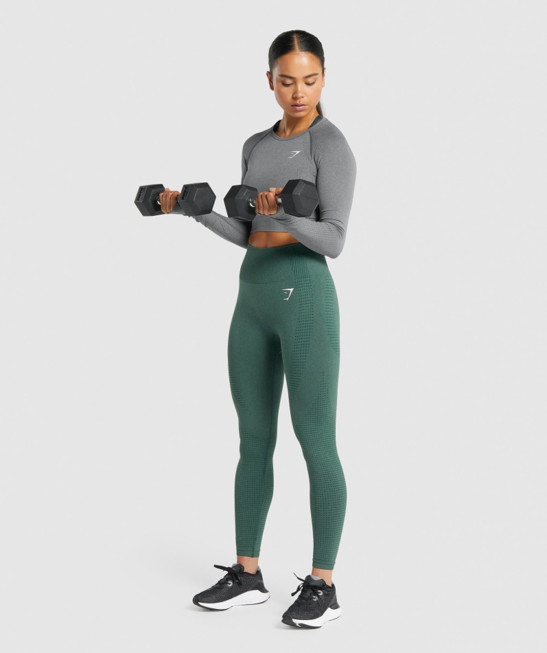 Gymshark Vital Sømløs 2.0 Langermet Crop Top Smokey Grey Mergel