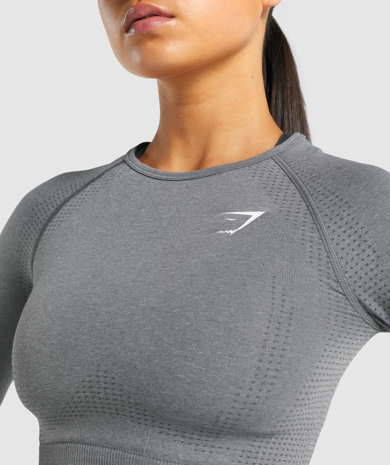 Gymshark Vital Sømløs 2.0 Langermet Crop Top Smokey Grey Mergel