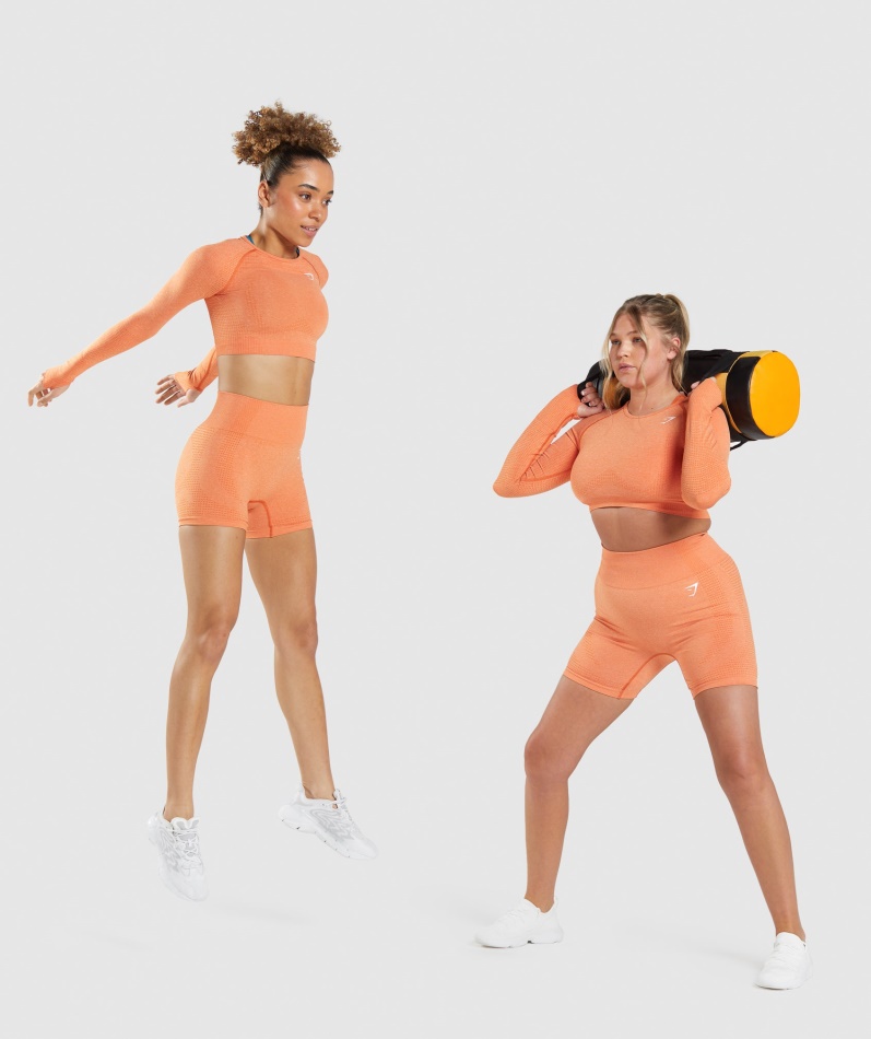 Gymshark Vital Sømløs 2.0 Shorts Aprikos Oransje Mergel