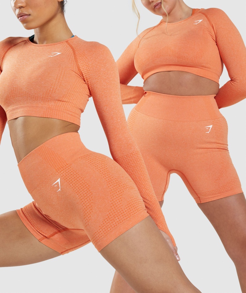 Gymshark Vital Sømløs 2.0 Shorts Aprikos Oransje Mergel