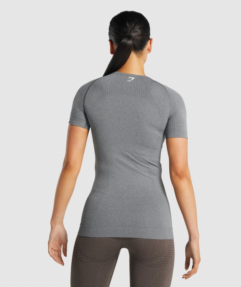 Gymshark Vital Sømløs 2.0 T-skjorte Smokey Grey Mergel