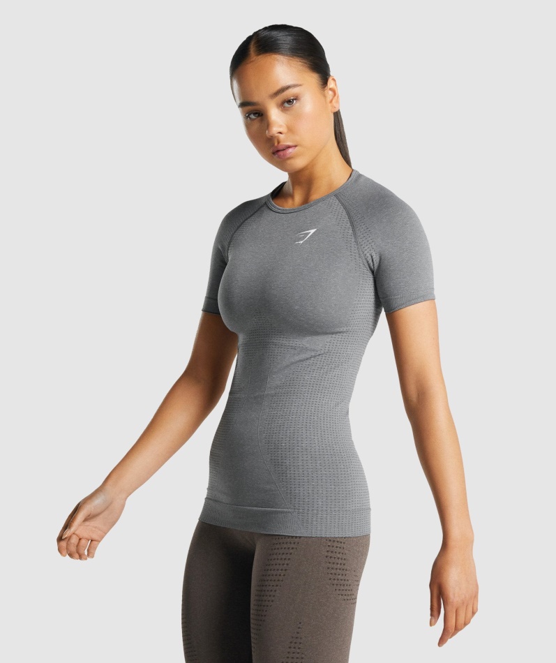 Gymshark Vital Sømløs 2.0 T-skjorte Smokey Grey Mergel