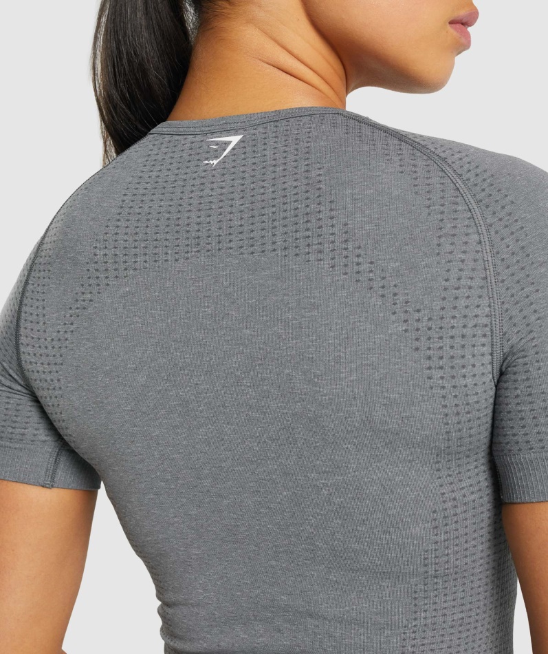 Gymshark Vital Sømløs 2.0 T-skjorte Smokey Grey Mergel