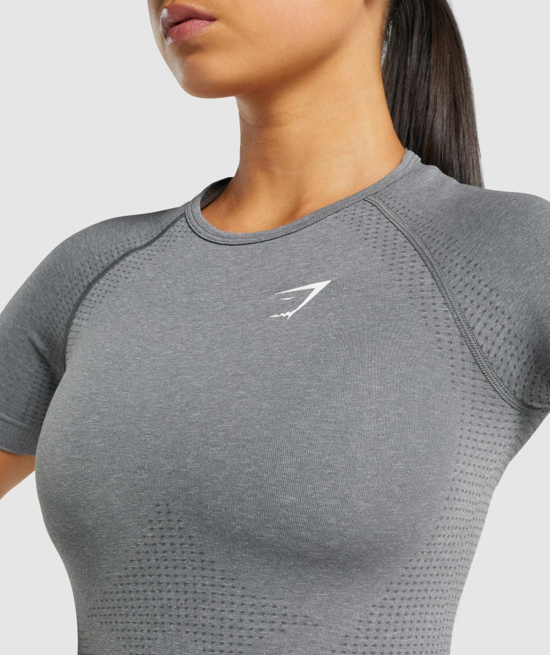 Gymshark Vital Sømløs 2.0 T-skjorte Smokey Grey Mergel