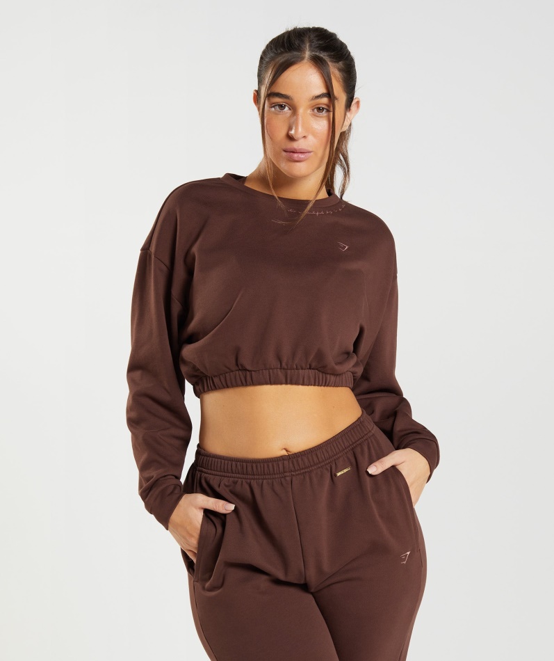 Gymshark Whitney Cropped Pullover Gjenopptenne Brun